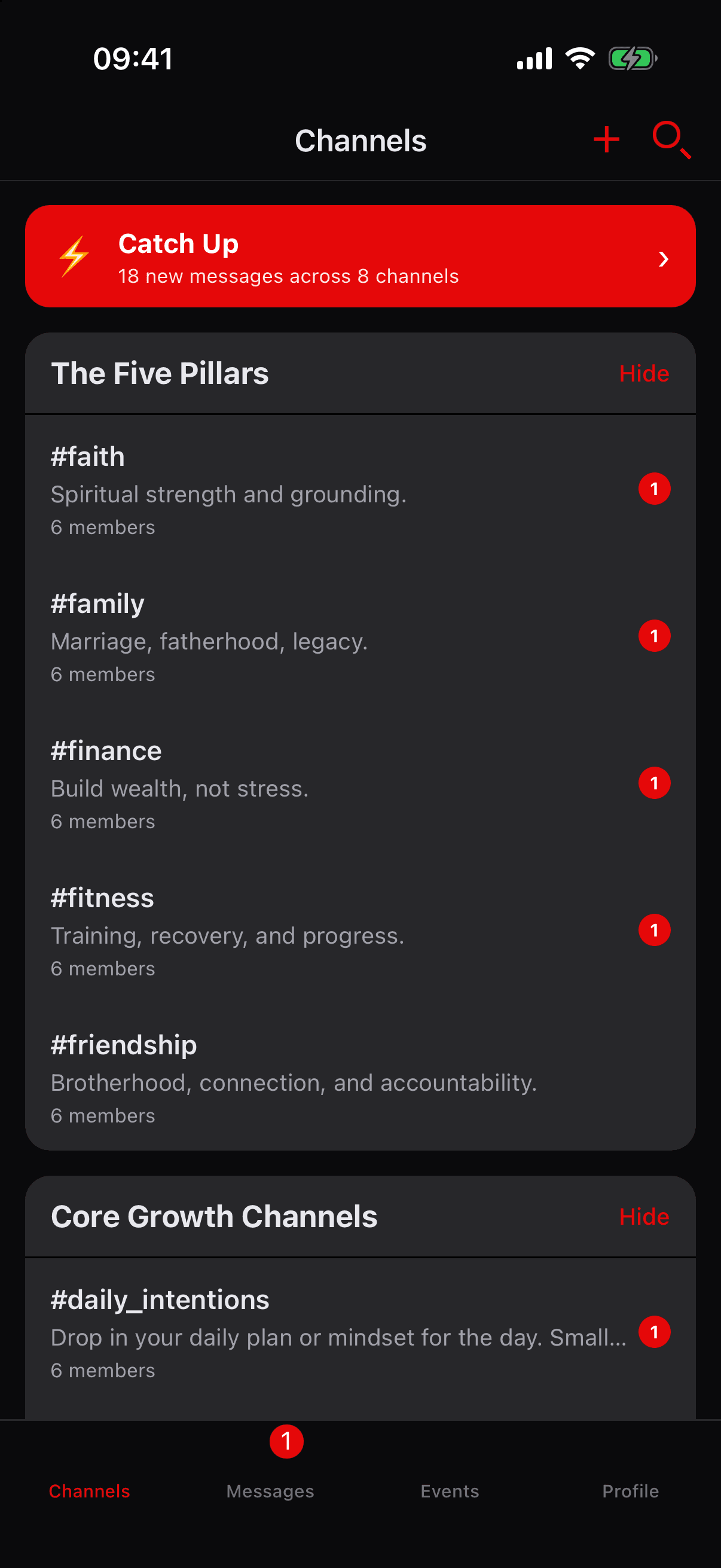Channel list grouped by the five pillars — faith, family, finance, fitness, friendship — each with unread counts.